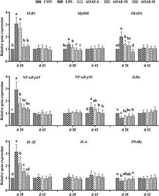 An Artemisia ordosica extract: Effects on growth performance, immune, and inflammatory response in lipopolysaccharide-challenged broilers
